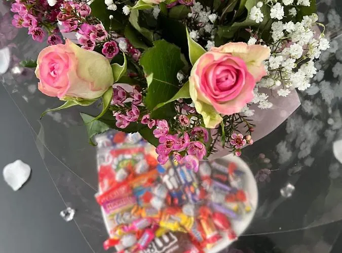 Meandyou Hammametspa * 科尔马