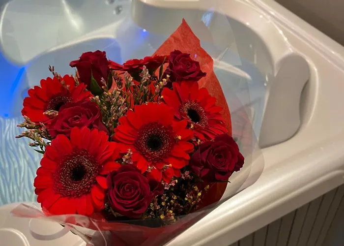 Meandyou Hammametspa 科尔马